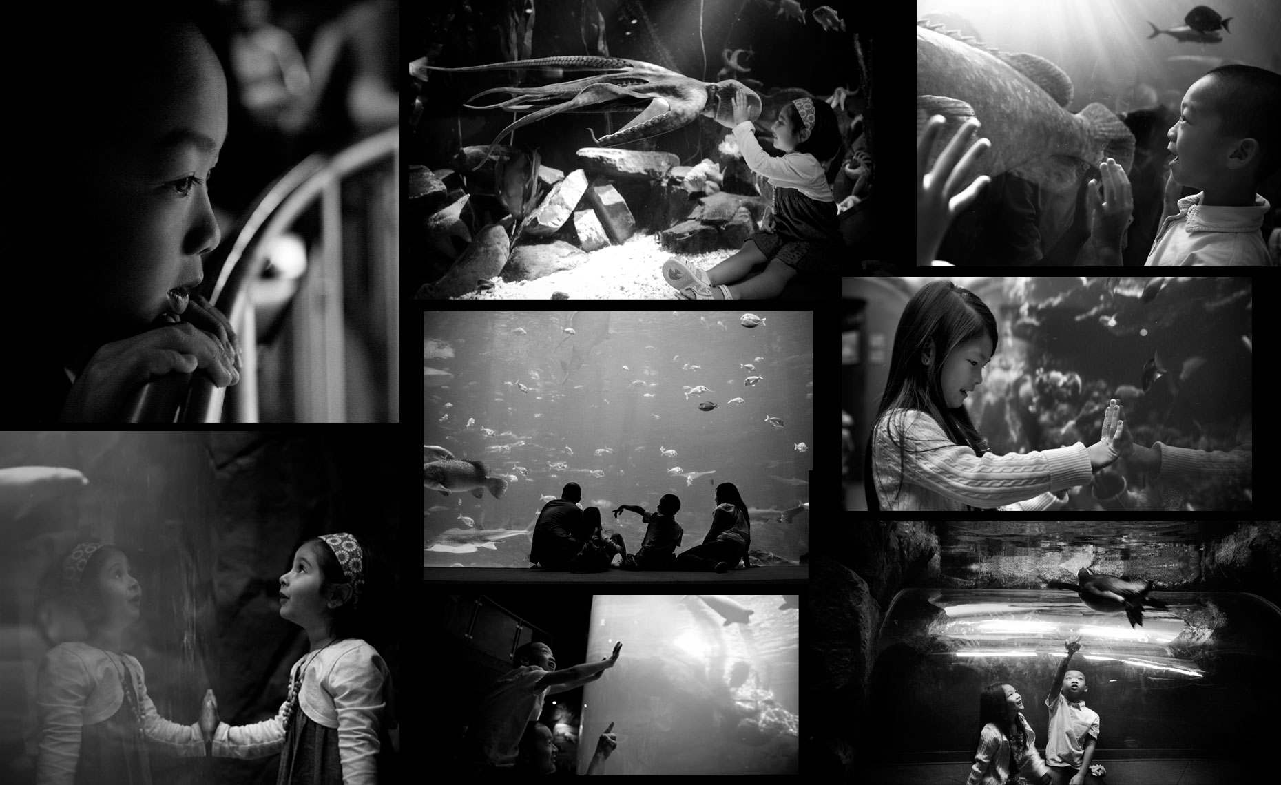 1-Promethean_aqua_collage