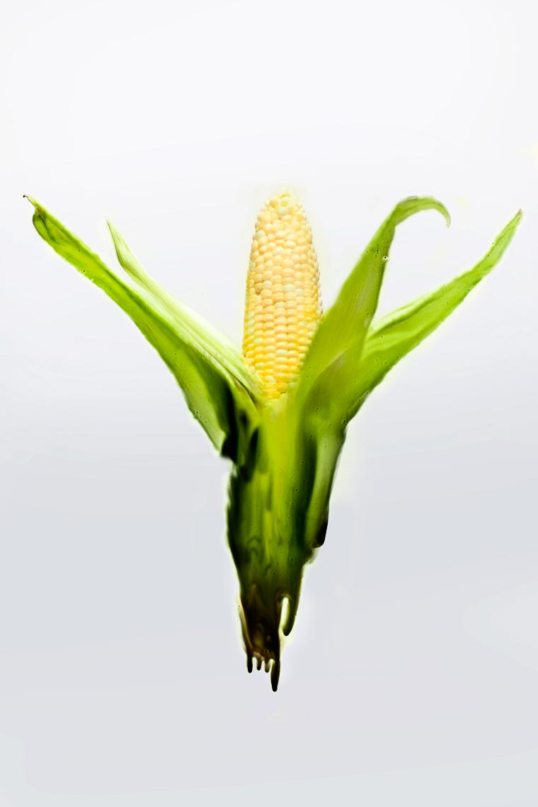 4-20100904_corn